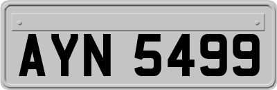 AYN5499