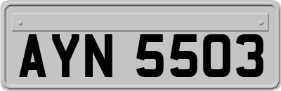 AYN5503
