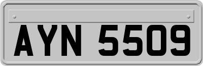 AYN5509