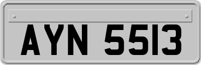 AYN5513