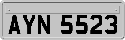AYN5523