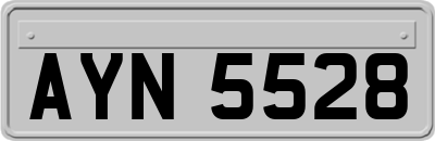 AYN5528