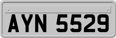 AYN5529