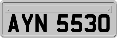 AYN5530