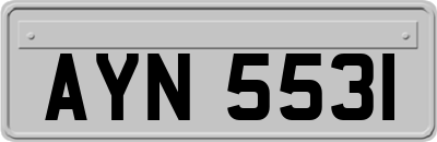 AYN5531
