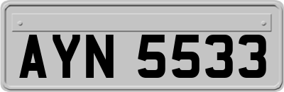AYN5533