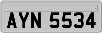 AYN5534