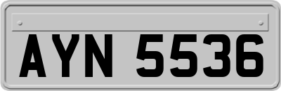 AYN5536