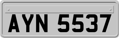 AYN5537