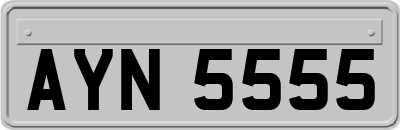 AYN5555