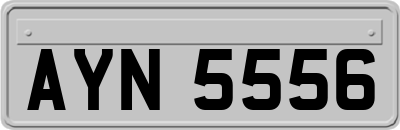 AYN5556