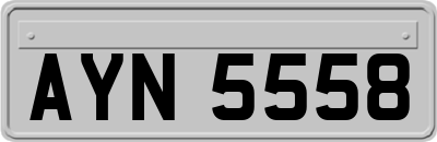AYN5558