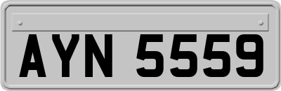AYN5559