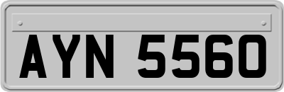 AYN5560