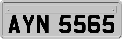 AYN5565