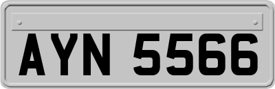 AYN5566