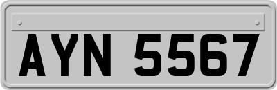AYN5567