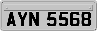 AYN5568