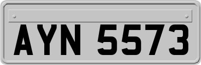 AYN5573