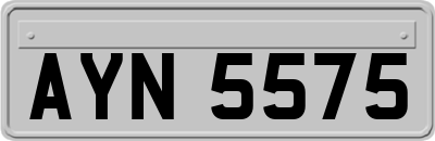 AYN5575
