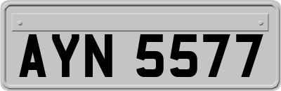 AYN5577