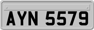 AYN5579