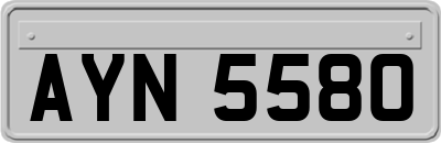 AYN5580