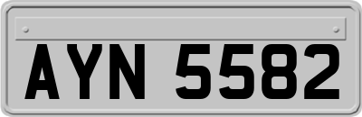 AYN5582