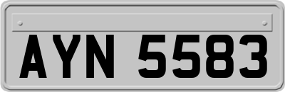 AYN5583