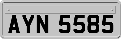 AYN5585