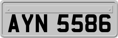 AYN5586