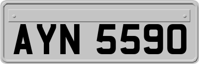 AYN5590