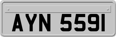 AYN5591