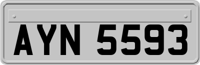 AYN5593
