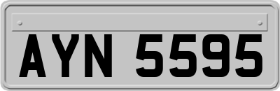 AYN5595