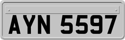 AYN5597