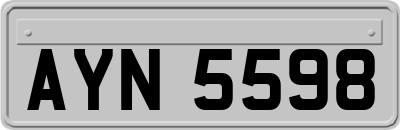 AYN5598