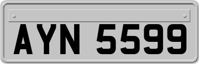 AYN5599