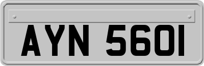 AYN5601