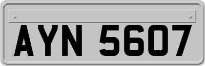 AYN5607