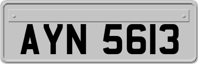 AYN5613
