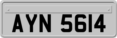 AYN5614
