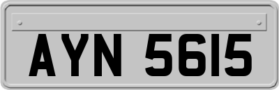 AYN5615