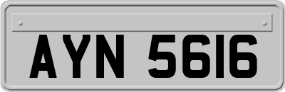 AYN5616