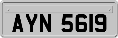 AYN5619