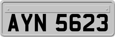 AYN5623