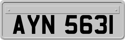 AYN5631