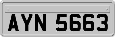 AYN5663