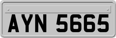 AYN5665