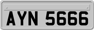 AYN5666